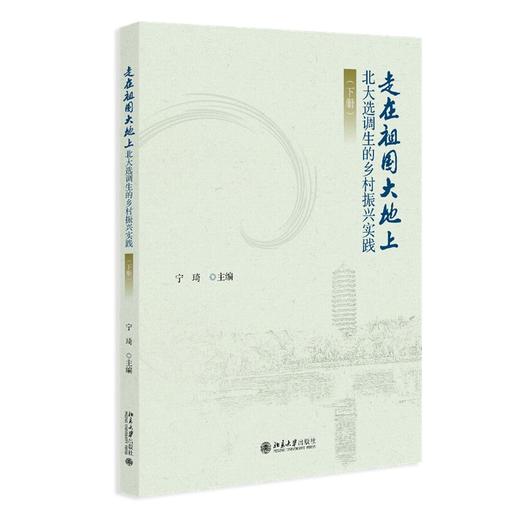 走在祖国大地上——北大选调生的乡村振兴实践（下册） 宁琦 主编 北京大学出版社 商品图0