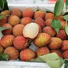 桂花香荔枝 商品缩略图0