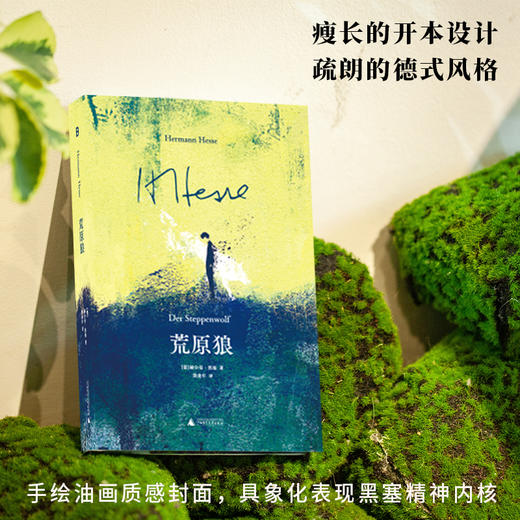 黑塞经典：荒原狼 | 写给与这个世界格格不入的你 商品图4