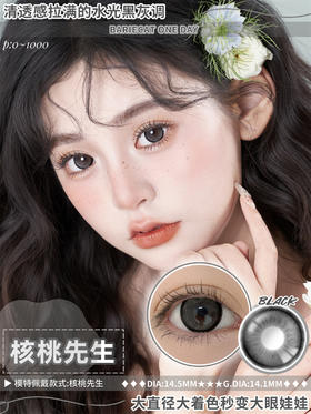 BarieCat 核桃先生灰（日抛）