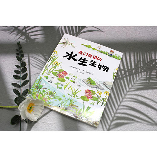 【独秀书香卡】魔法象·故事森林  我们身边的水生生物 7-12岁 儿童故事 儿童文学 商品图3