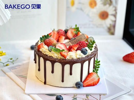 《浓巧鲜果》水果动物奶油蛋糕 商品图0