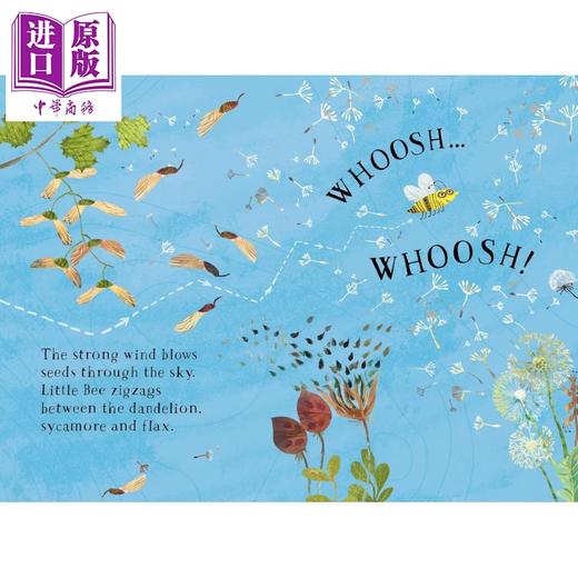 【中商原版】小蜜蜂的花朵书 Little Bees Book of Blooms 英文原版 儿童绘本图画书 花卉植物读物 精美插图 进口童书 纸板书 商品图4