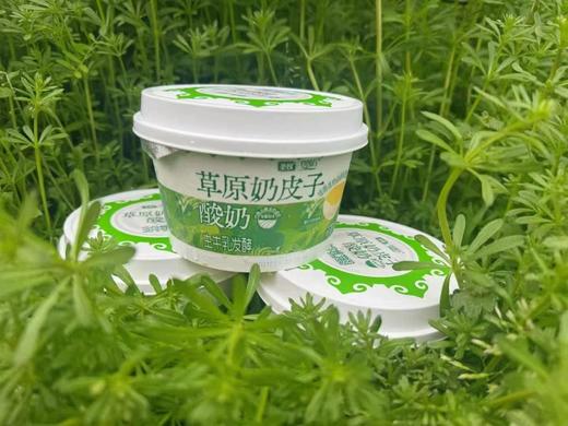 周四取货：【圣牧草原奶皮子酸奶】一杯300克，浓郁丝滑！保质期到2026.2.28特价不接受退单 商品图4