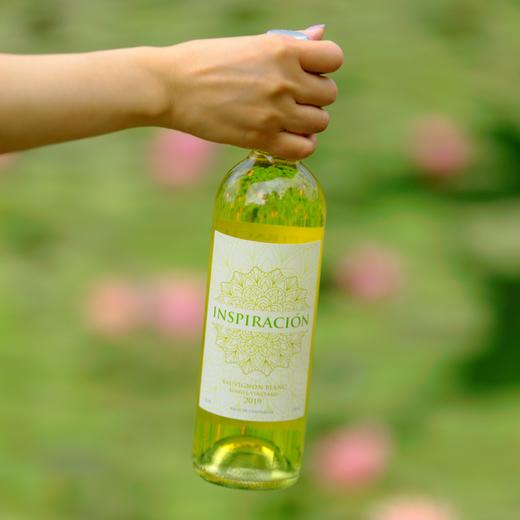 灵感单一园长相思白葡萄酒2019 商品图1
