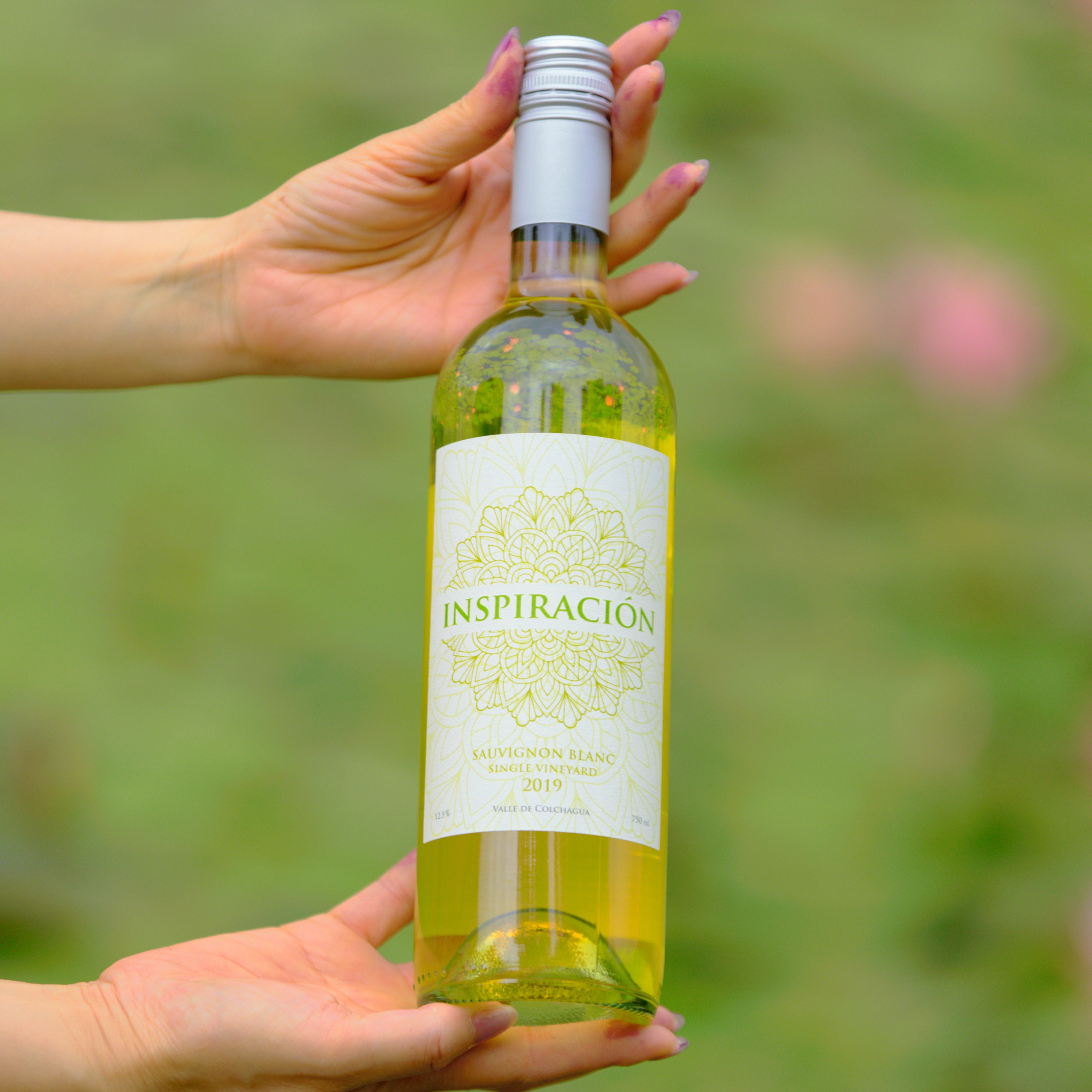 灵感单一园长相思白葡萄酒2019