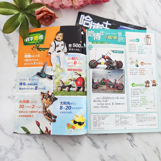 【订阅】哈博士兴趣数学杂志2026年12期 商品图2