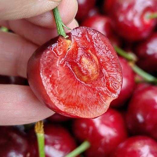 烟台美早大樱桃3J特大果/5J果王 商品图4