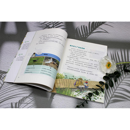 【独秀书香卡】魔法象·故事森林  我们身边的水生生物 7-12岁 儿童故事 儿童文学 商品图7