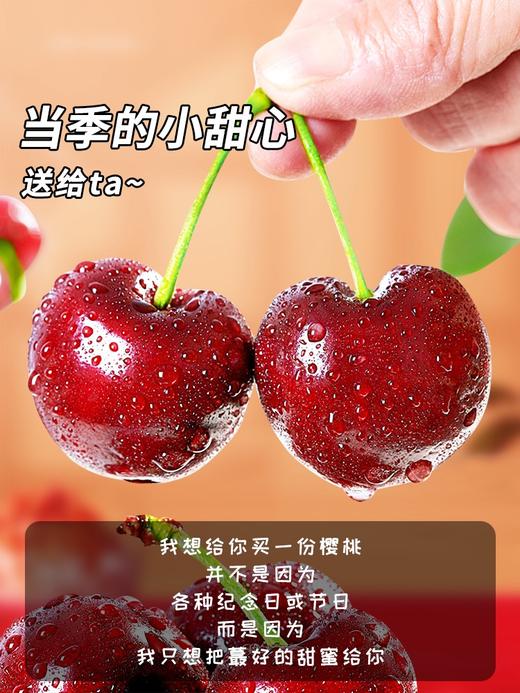 烟台美早大樱桃3J特大果/5J果王 商品图11