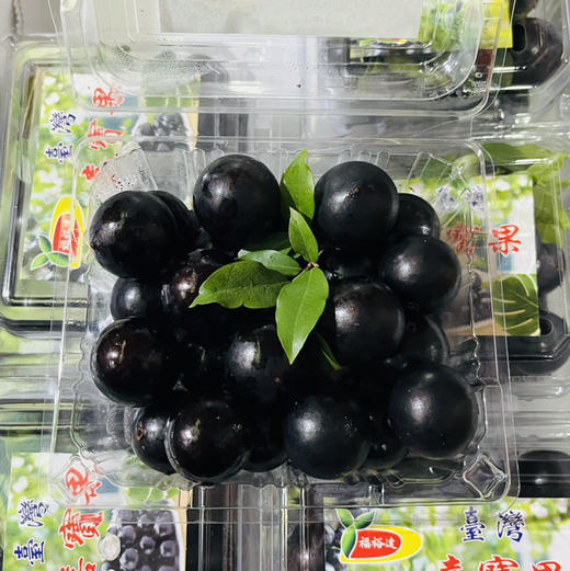 嘉宝果树葡萄 珍宝果  1箱约3斤  混合4种水果独特口感  【广州市区顺带，不发快递】 商品图4