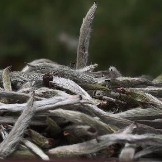 【2025头采银针】 商品图1