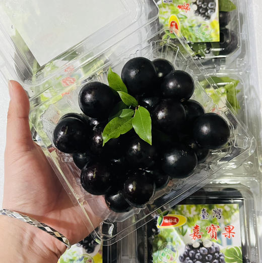 嘉宝果树葡萄 珍宝果  1箱约3斤  混合4种水果独特口感  【广州市区顺带，不发快递】 商品图6