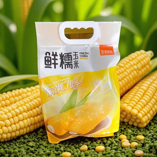 黄糯玉米(香甜真空软包) 商品图3