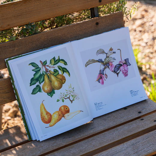 草木有灵：邱园雪莉·舍伍德画廊的当代植物艺术 英国皇家植物园邱园 官方出品  260余幅作品每一幅都是技法、色彩与生命力的巅峰呈现 画册 商品图4