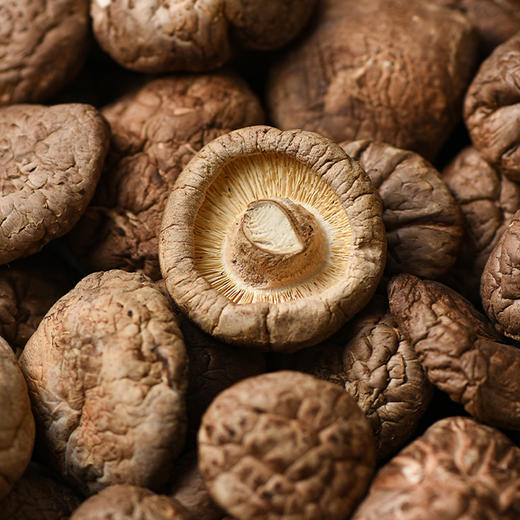 神农架野生香菇 1斤 商品图1