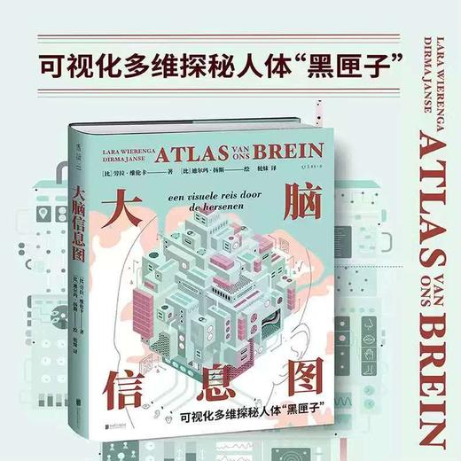 《大脑信息图：可视化多维探秘人体“黑匣子”》 商品图1