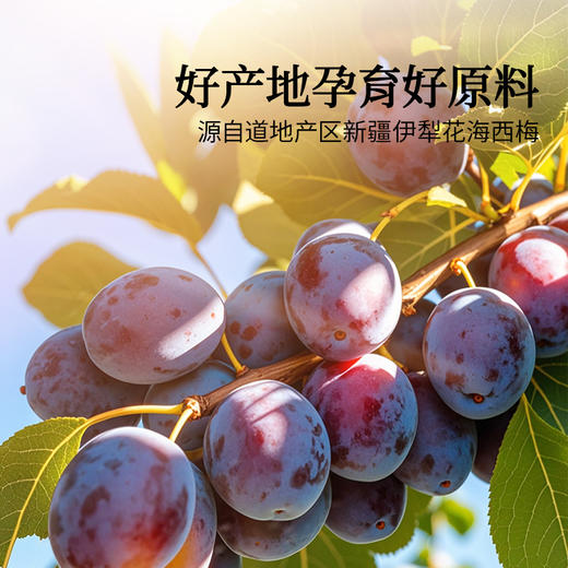 【正宗同仁堂品牌】北京同仁堂 西梅原浆 300ml(30ml*10袋）鲜果鲜榨 原汁原味 便携袋装SY 商品图5