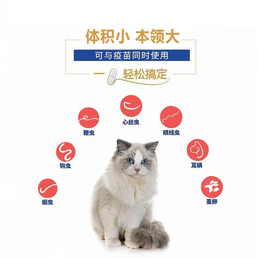 海乐妙驱虫药猫咪驱虫药体内外一体宠物幼猫成猫体外内驱虫 商品图3