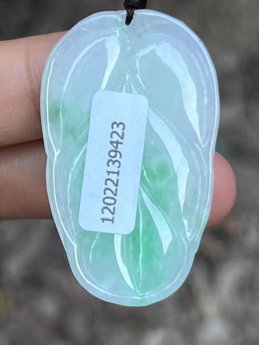 【云意轩翡翠】编号：9423 白底青金枝玉叶 天然翡翠 附证书 商品图3