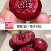美早樱桃约200G 商品缩略图1