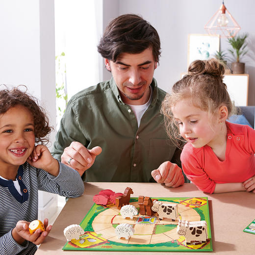 HABA 开心农场 十合一 桌游 适合3岁+ 多种玩法，锻炼各项能力 德国品牌-1004278001 商品图6