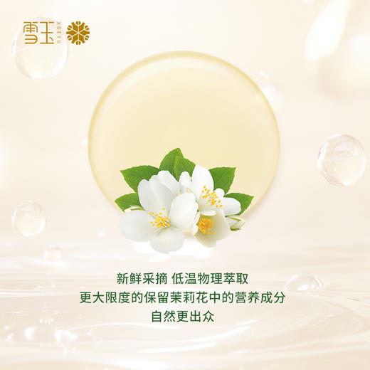 雪玉紧致抗皱焕颜紧肤水（100ml/瓶） 商品图1