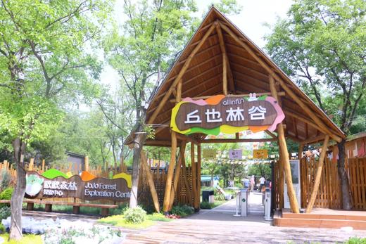 【休闲营地】西安新晋户外营地！约36000㎡，100+种玩乐设施，林下休闲，儿童友好！ 商品图1