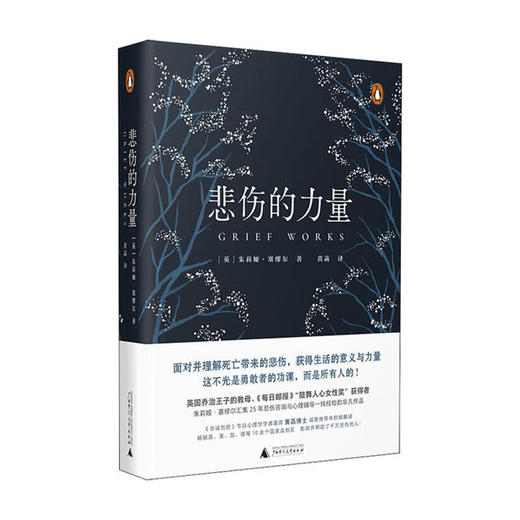 悲伤的力量（英）朱莉娅·塞缪尔 著 商品图0