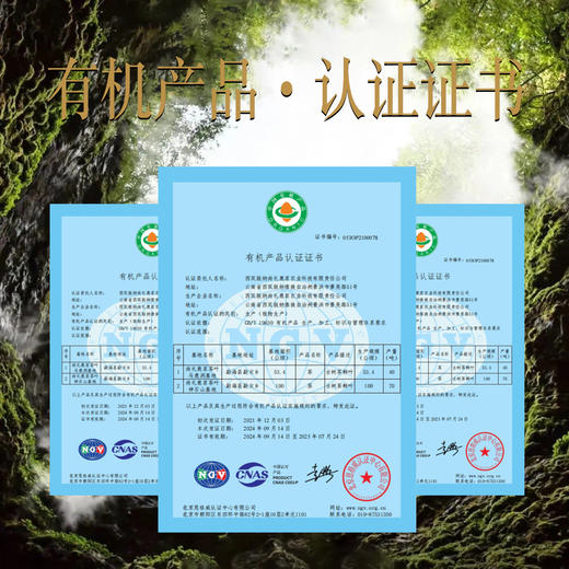 2025年马鹿洞古树普洱生茶357g 商品图3