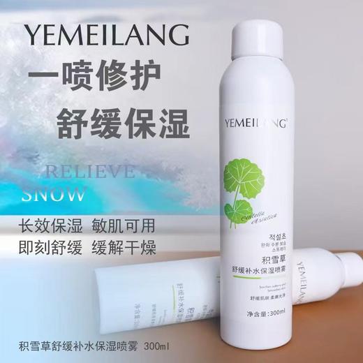 叶美朗积雪草舒缓补水保湿喷雾300ml 商品图0