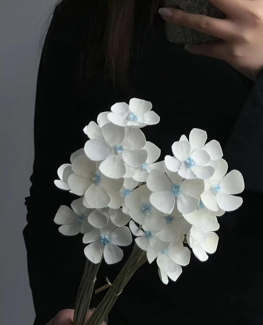 【永生花】网红干花紫罗兰  约10枝/扎 多色可选 商品图5