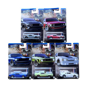 美太风火轮纪念系列套装随机发1款