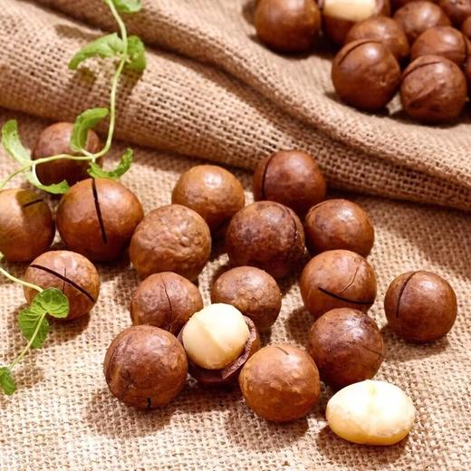 【特惠】好想你经典去核枣博士430g/盒+时怡原味南非夏威夷果408g/罐*3（夏威夷果保质期到2025-06-12到期介意慎拍） 商品图4