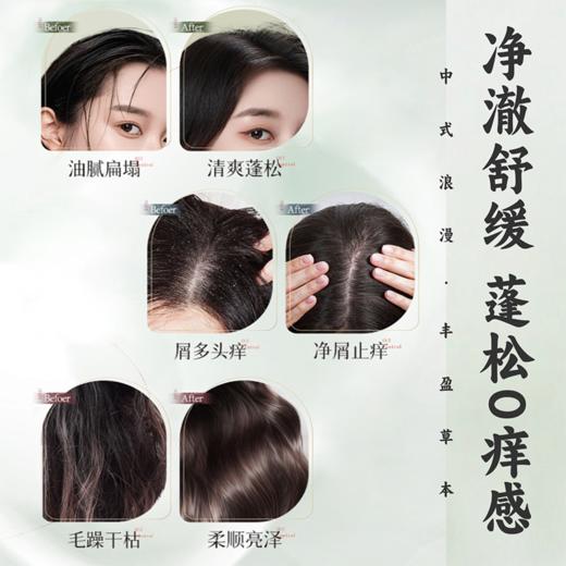 【居家必备洗护套装】自然而然24味草本洗发水护发素/沐浴美肌 洗头原浆清洁护理 赠送中样+小样 多规格入 500ml/瓶 商品图0