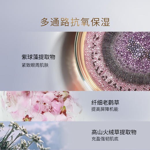 玛嘉思缇 时光密藏 新赋活眼霜 14g 商品图3