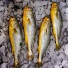 MM 山姆 深海大黄鱼4条装（单条净鱼重量≥250g） 商品缩略图3