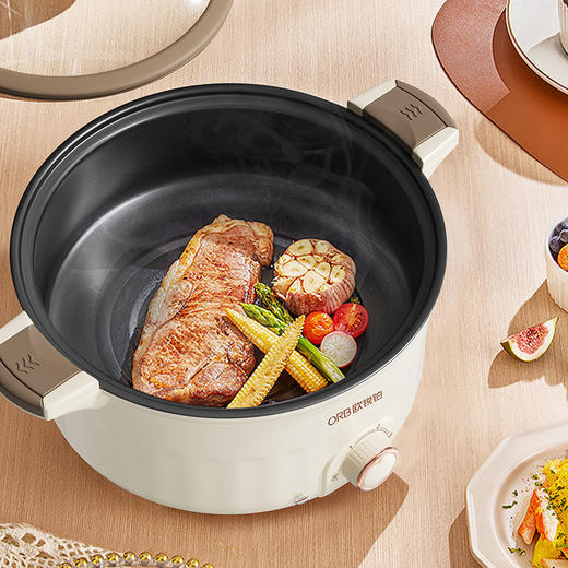 欧锐铂帕斯卡-电微压锅ORB-1573 商品图2