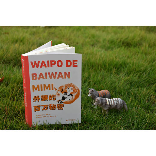 【独秀书香卡】魔法象·故事森林·法语大奖书屋（第一辑）外婆的百万秘密  6-12岁 儿童故事 图画故事 桥梁书 商品图3