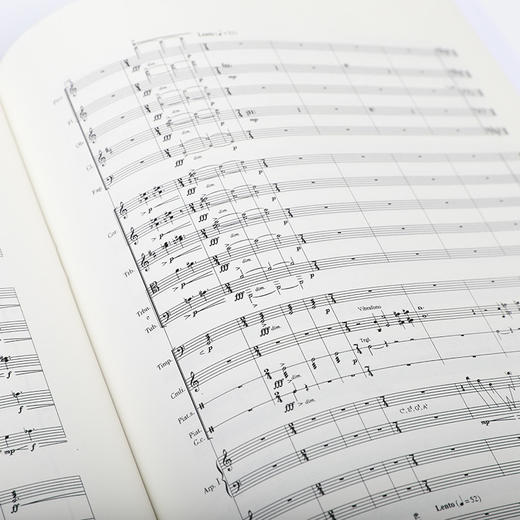 交响音画 北方森林 商品图3