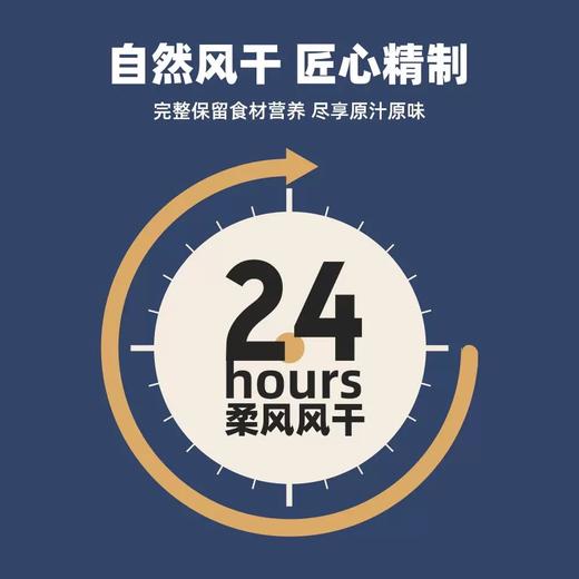 伯纳天纯宠物零食风干鸡肉70g 商品图1