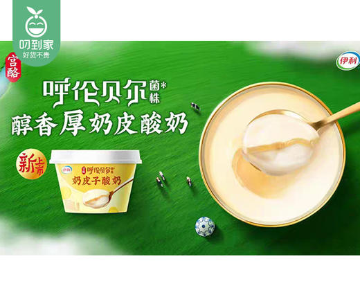【到手2杯】伊利宫酪呼伦贝尔奶皮子风味酸奶/1份（138g*2杯） 商品图3