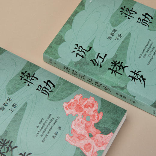 《蒋勋说红楼梦·青春版》 在蒋勋包容和善意的解读中 让青少年感悟美 感知中国传统文化的魅力书籍 商品图1