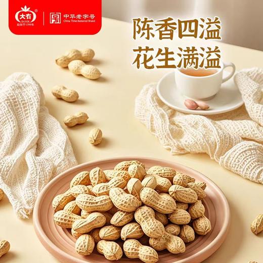 大有蒜香/咸干花生 200g*2 商品图7