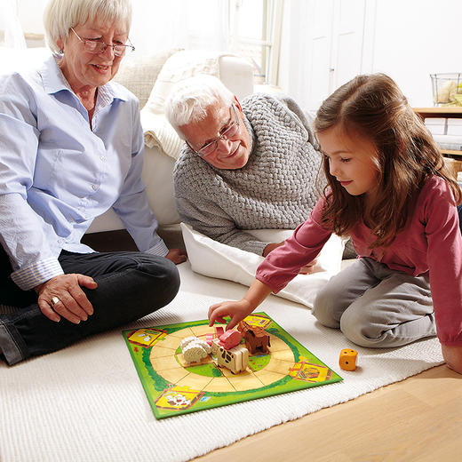 HABA 开心农场 十合一 桌游 适合3岁+ 多种玩法，锻炼各项能力 德国品牌-1004278001 商品图7