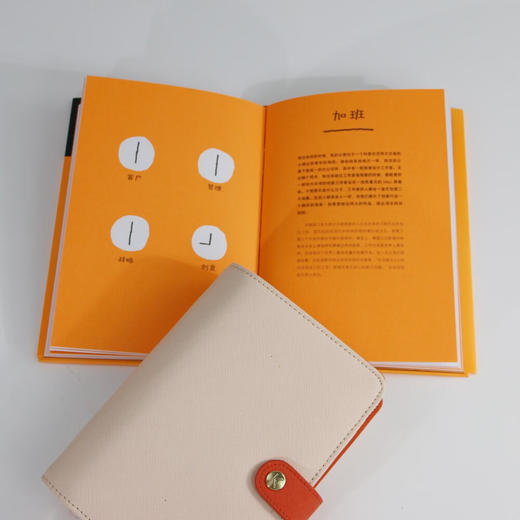 拼了老命，你也做不出伟大的作品：写给创意总监的实用工作指南（爱尔兰）保罗·伍兹 著 商品图7