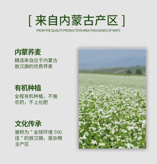 禾川荞麦米500g 商品图1