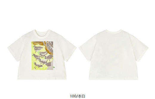 jnby  25年夏款  短袖T恤  1P5111440 商品图13