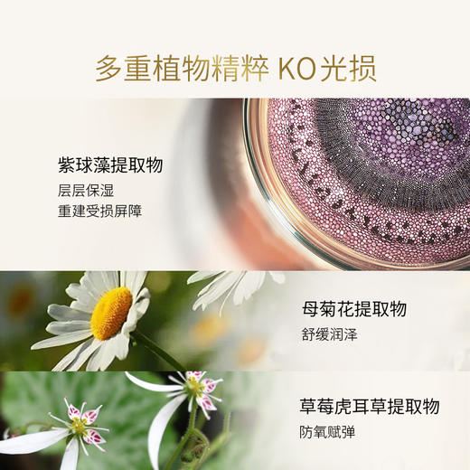 玛嘉思缇 时光密藏 新赋活焕采日霜 45g 商品图3