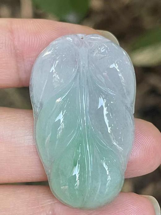 【冰绿翡翠】编号：1319 冰绿翡翠叶子 金枝玉叶 天然翡翠 附证书 商品图1